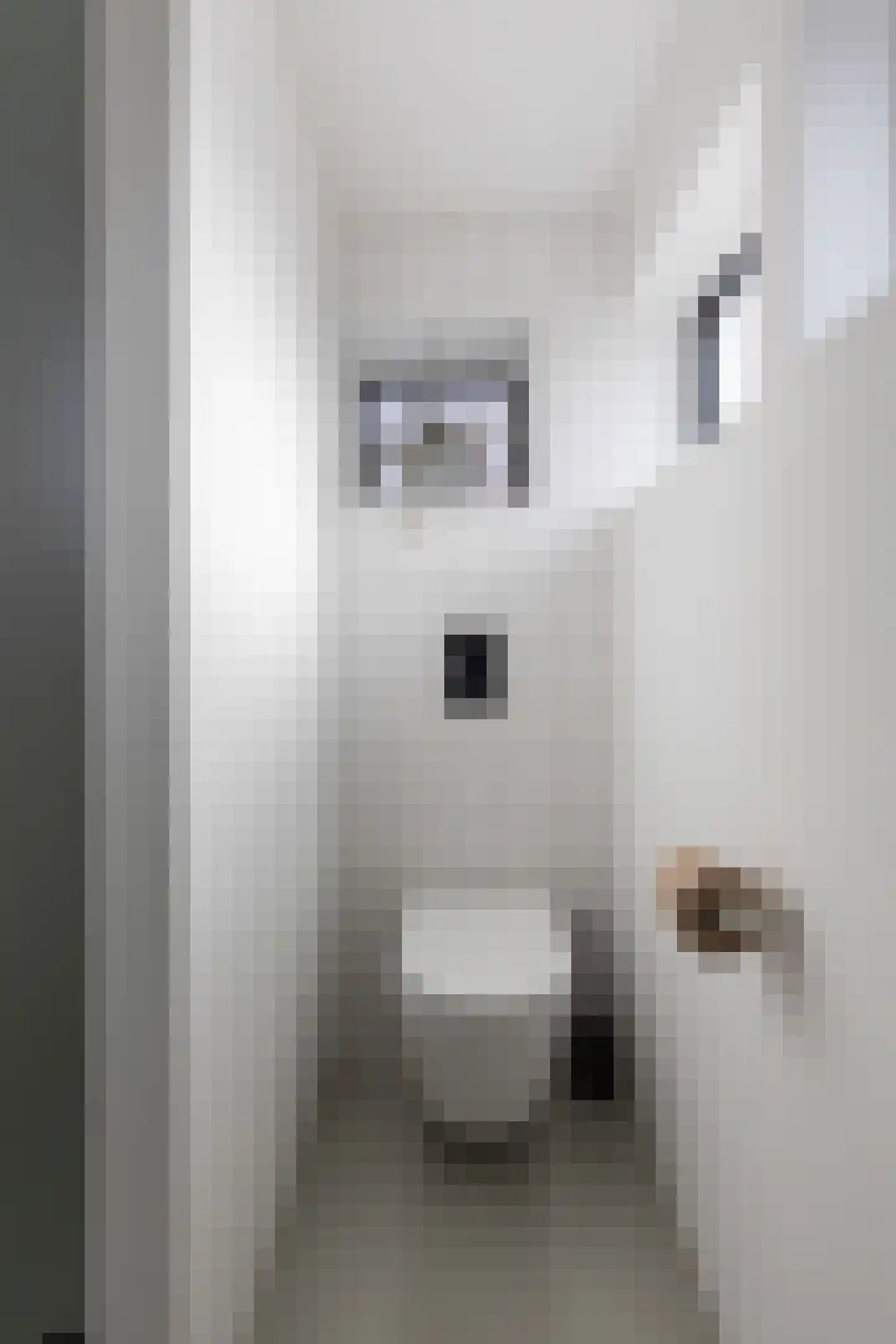 Spoorstraat 49 Apeldoorn thumbnail 11