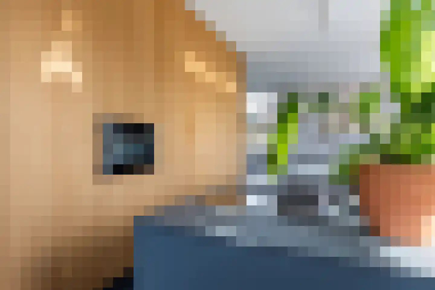 Spoorstraat 49 Apeldoorn thumbnail 25