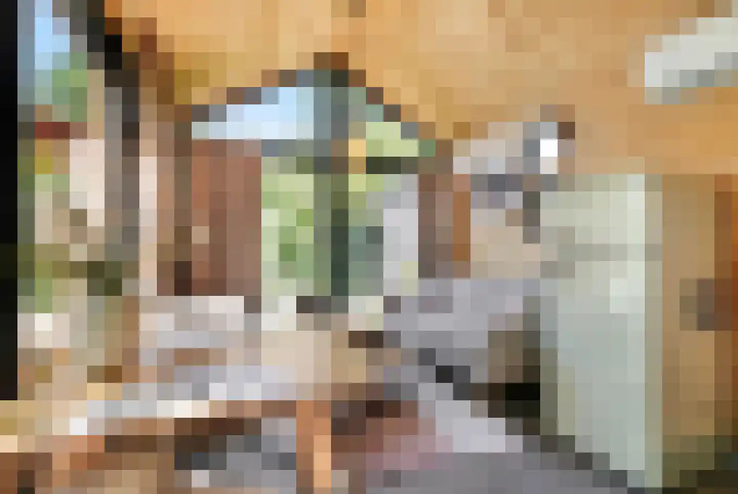 Spoorstraat 49 Vierlingsbeek thumbnail 107