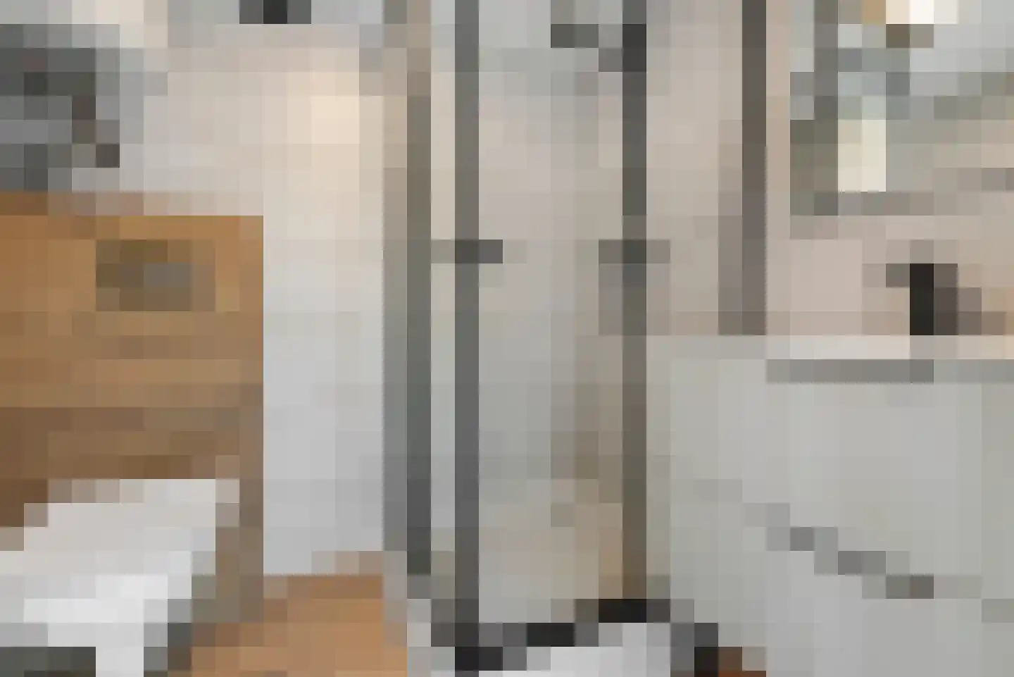 Spoorstraat 49 Vierlingsbeek thumbnail 111