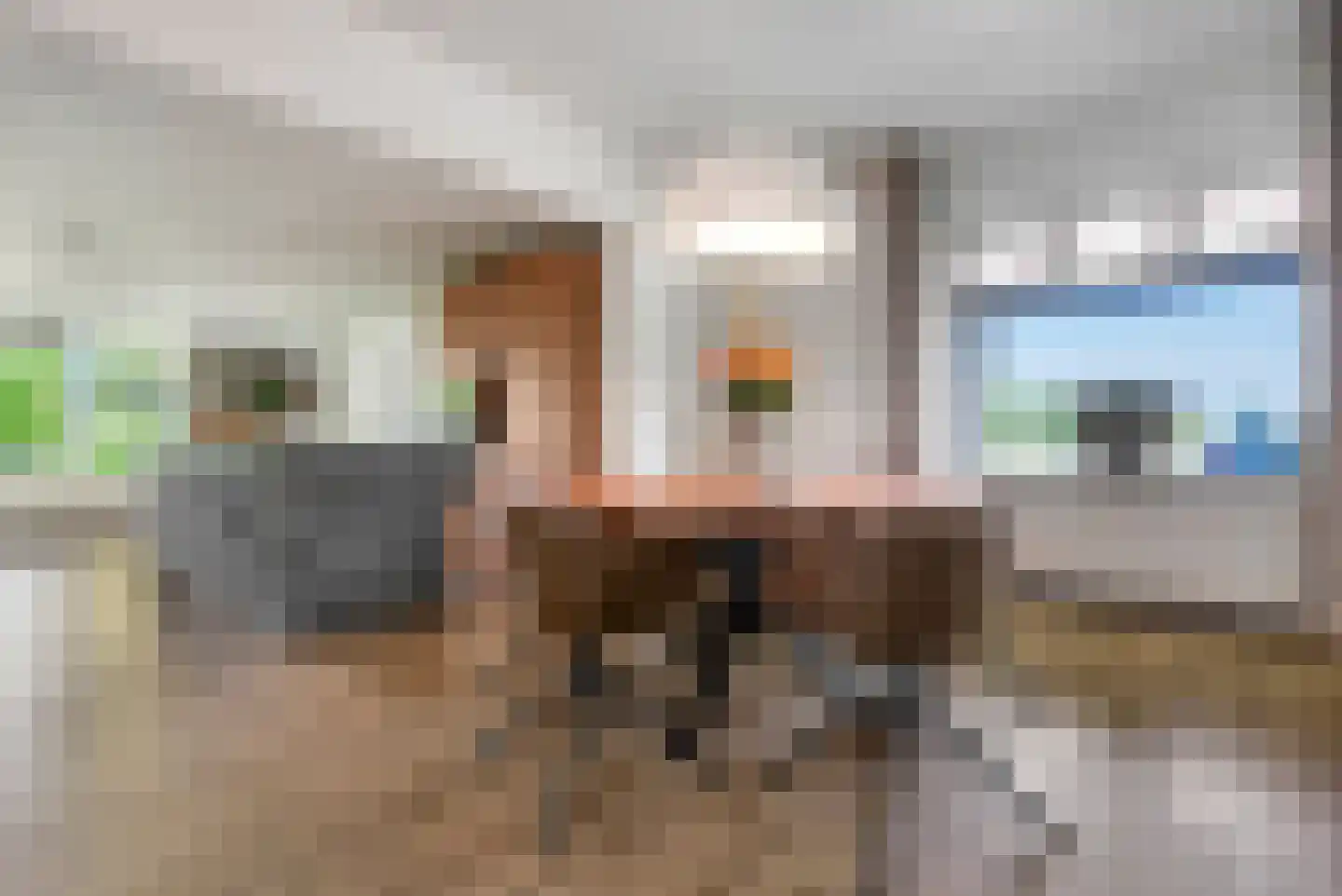 Spoorstraat 49 Vierlingsbeek thumbnail 13