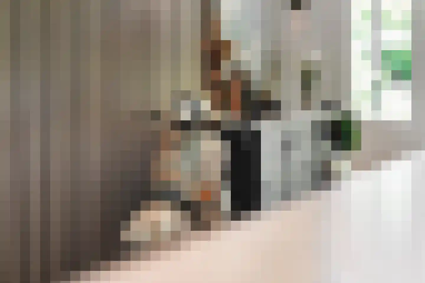 Spoorstraat 49 Vierlingsbeek thumbnail 19