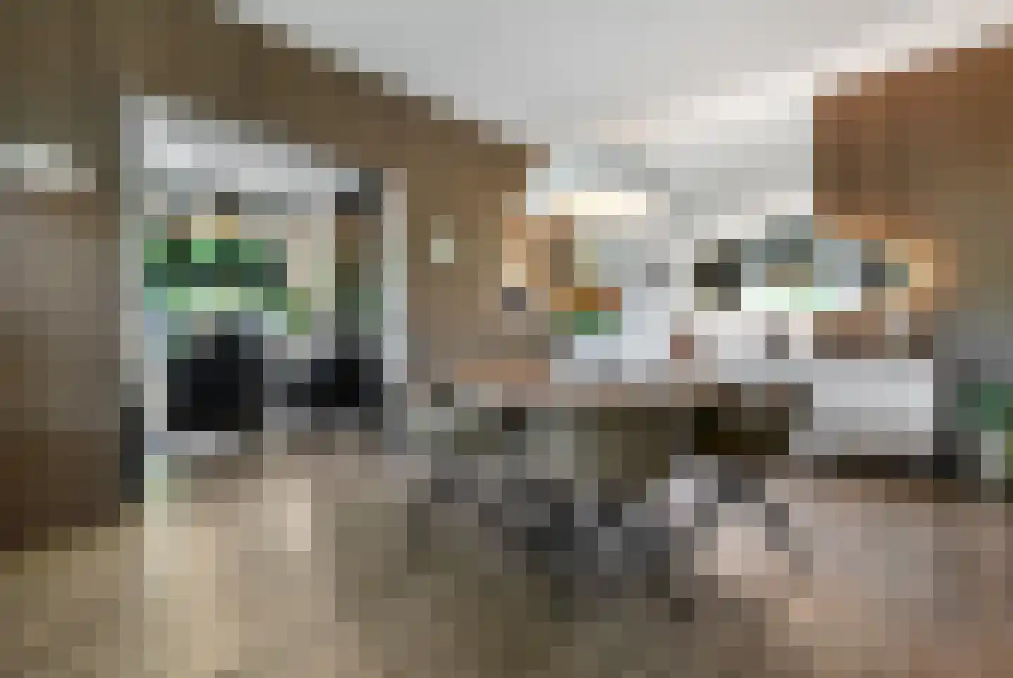 Spoorstraat 49 Vierlingsbeek thumbnail 21