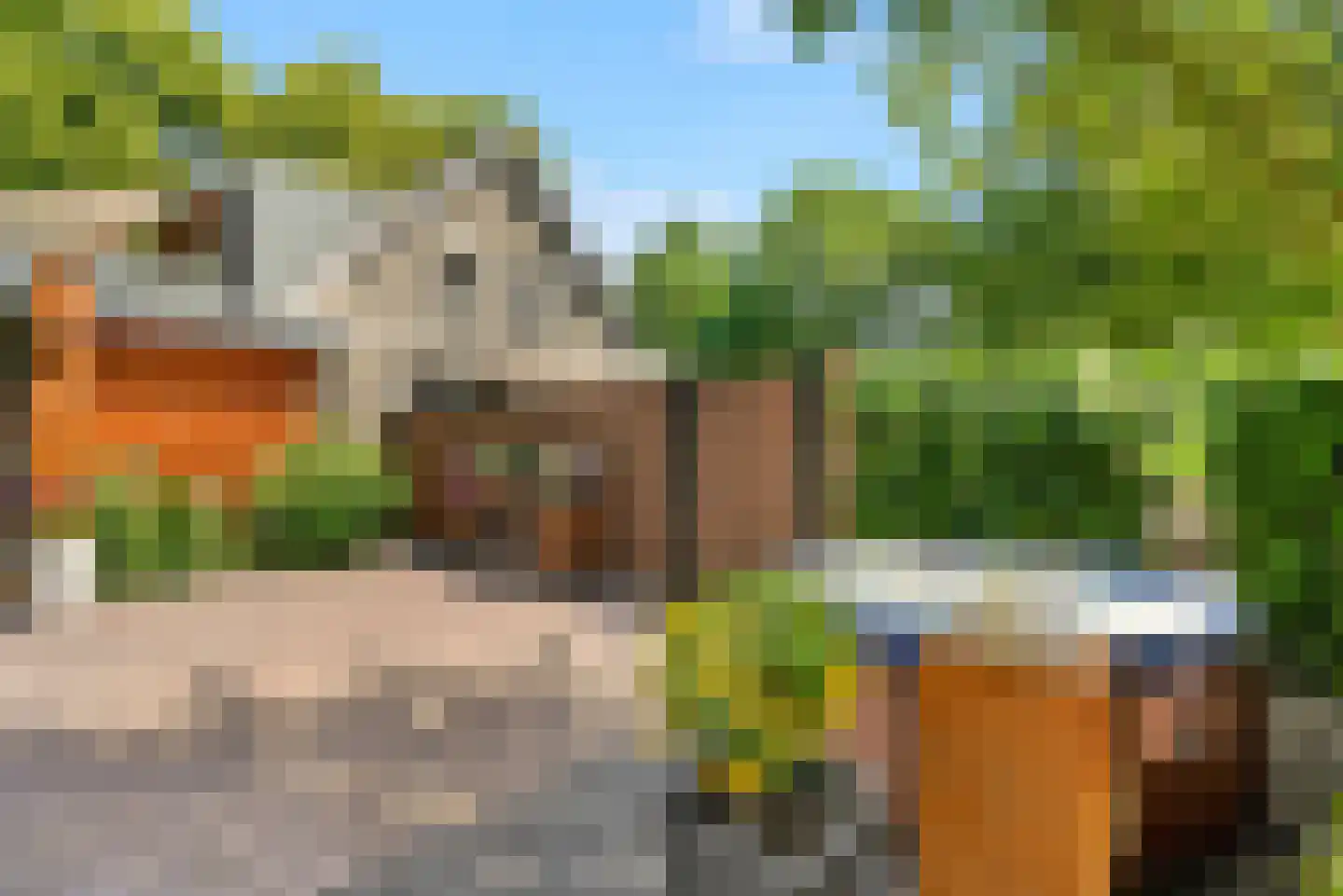 Spoorstraat 49 Vierlingsbeek thumbnail 43