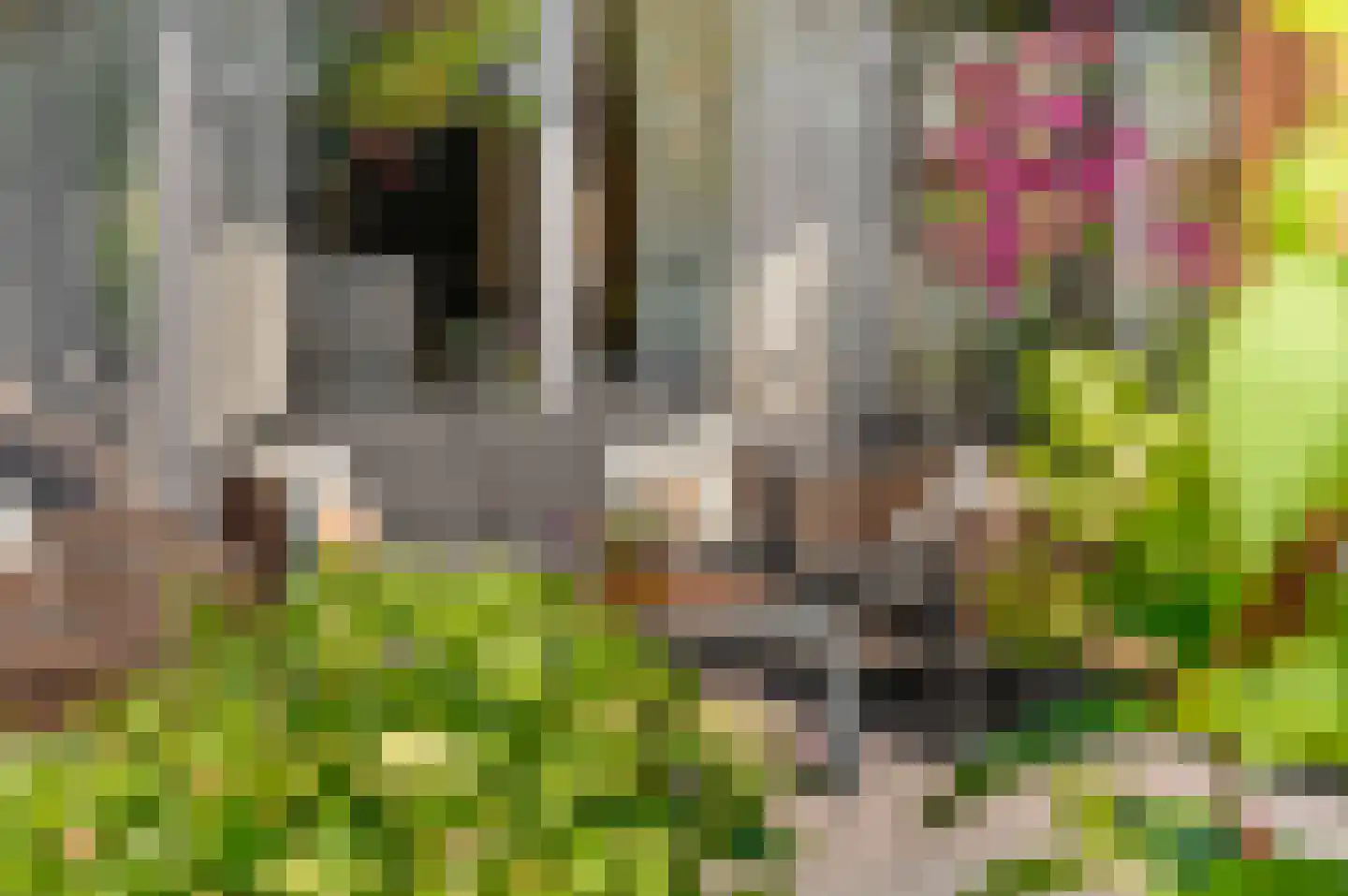Spoorstraat 49 Vierlingsbeek thumbnail 46