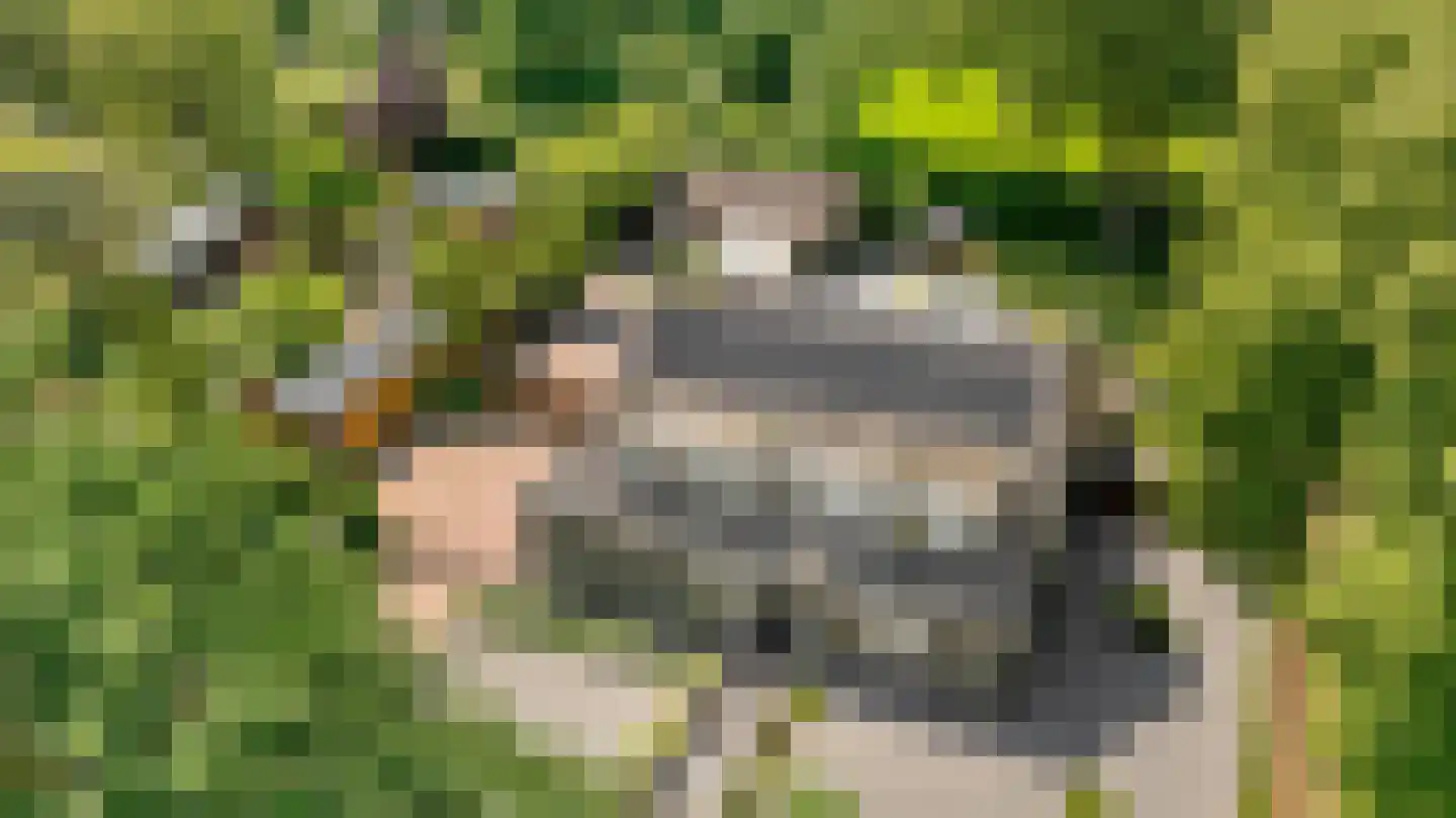 Spoorstraat 49 Vierlingsbeek thumbnail 5