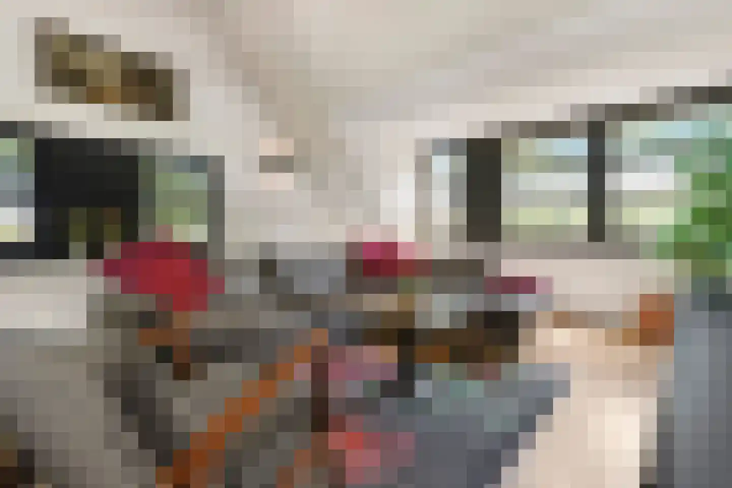 Spoorstraat 49 Vierlingsbeek thumbnail 68