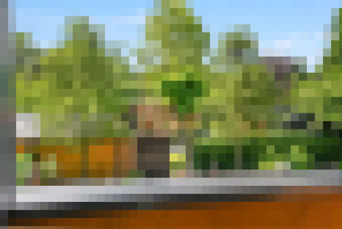 Spoorstraat 49 Vierlingsbeek thumbnail 81