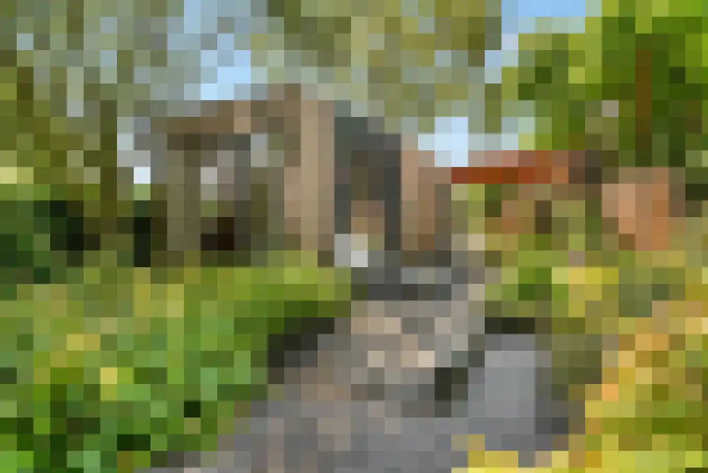 Spoorstraat 49 Vierlingsbeek thumbnail 88