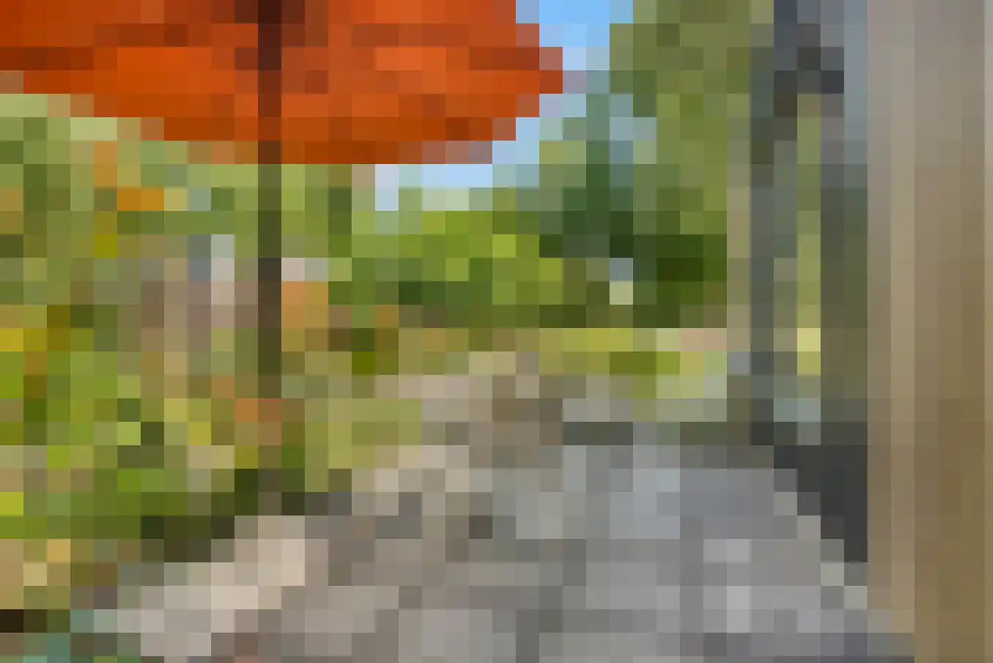 Spoorstraat 49 Vierlingsbeek thumbnail 89