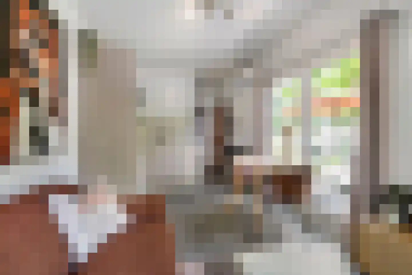 Spoorstraat 49 Vierlingsbeek thumbnail 93