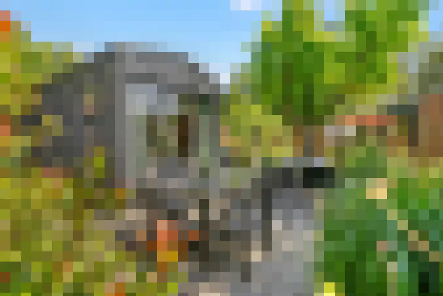 Spoorstraat 49 Vierlingsbeek thumbnail 97