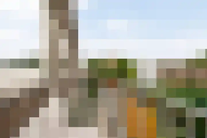 Spoorstraat 5 Best thumbnail 18