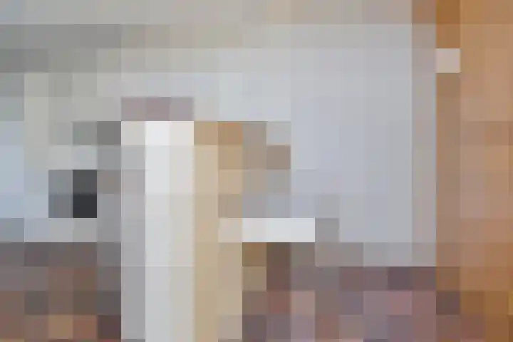 Spoorstraat 5 Best thumbnail 34