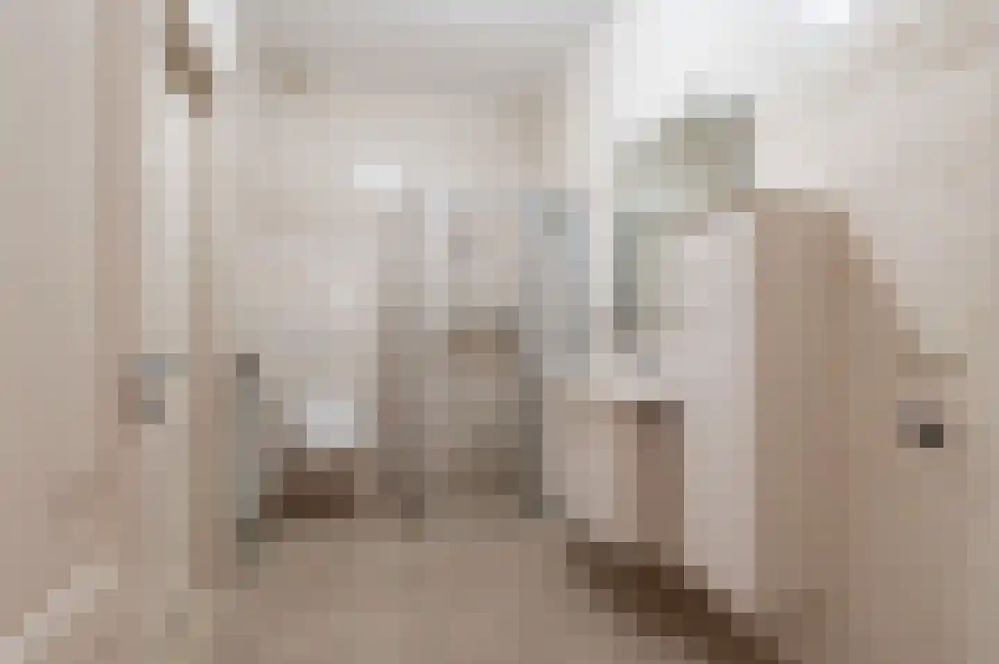Spoorstraat 5 Echteld thumbnail 14
