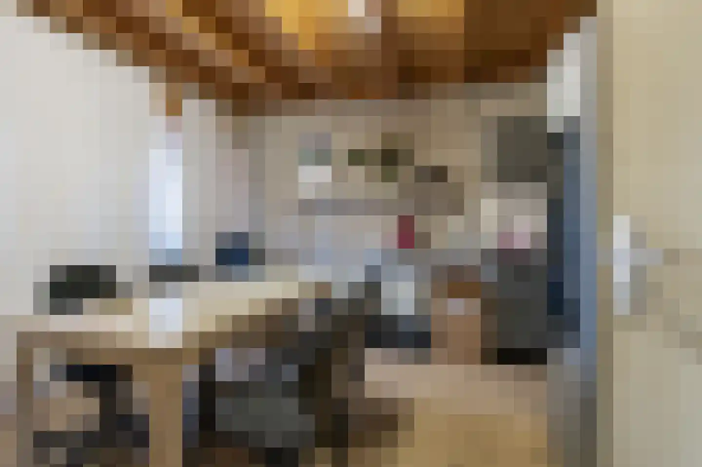 Spoorstraat 5 Echteld thumbnail 39