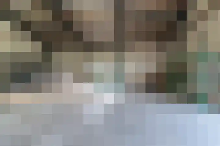 Spoorstraat 5 Echteld thumbnail 40