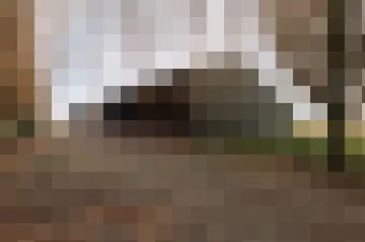 Spoorstraat 5 Echteld thumbnail 42