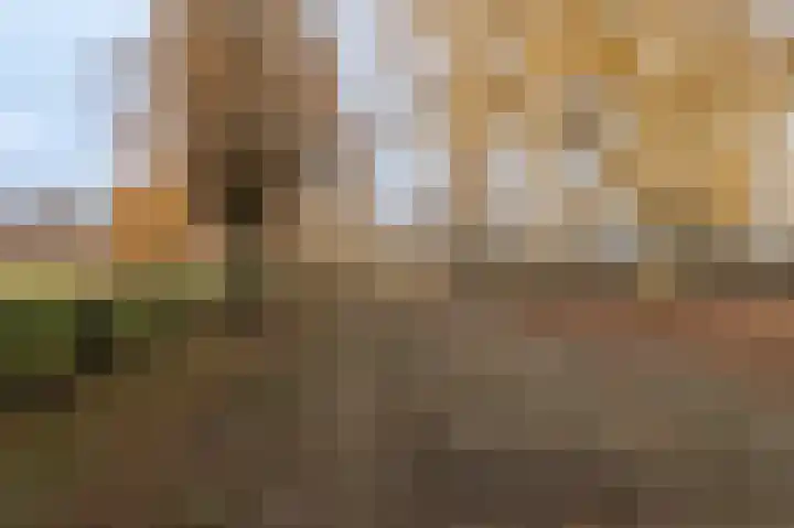 Spoorstraat 5 Echteld thumbnail 44