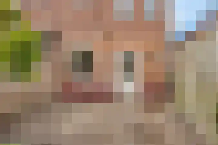 Spoorstraat 5 Goor thumbnail 6