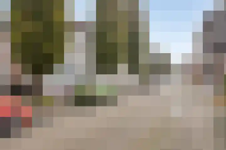 Spoorstraat 5 Goor thumbnail 8