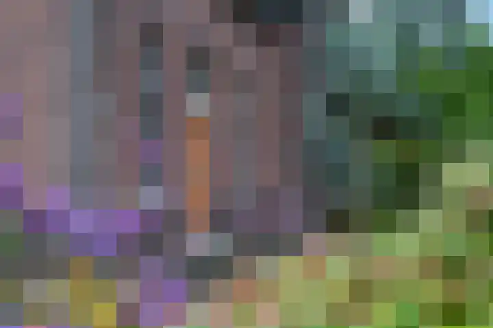 Spoorstraat 5 Grubbenvorst thumbnail 4