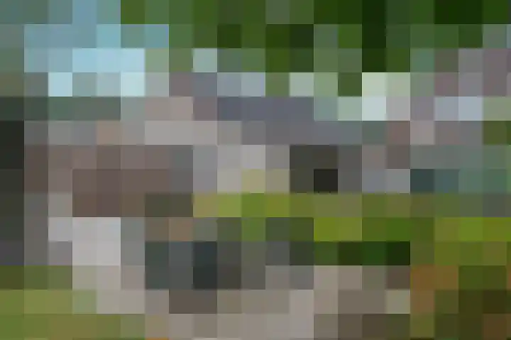 Spoorstraat 5 Grubbenvorst thumbnail 43