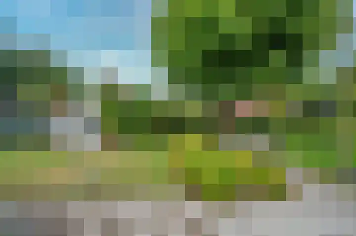 Spoorstraat 5 Grubbenvorst thumbnail 44