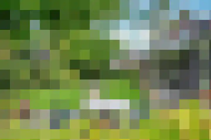 Spoorstraat 5 Grubbenvorst thumbnail 48