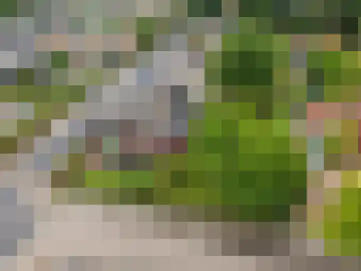Spoorstraat 5 Grubbenvorst thumbnail 57