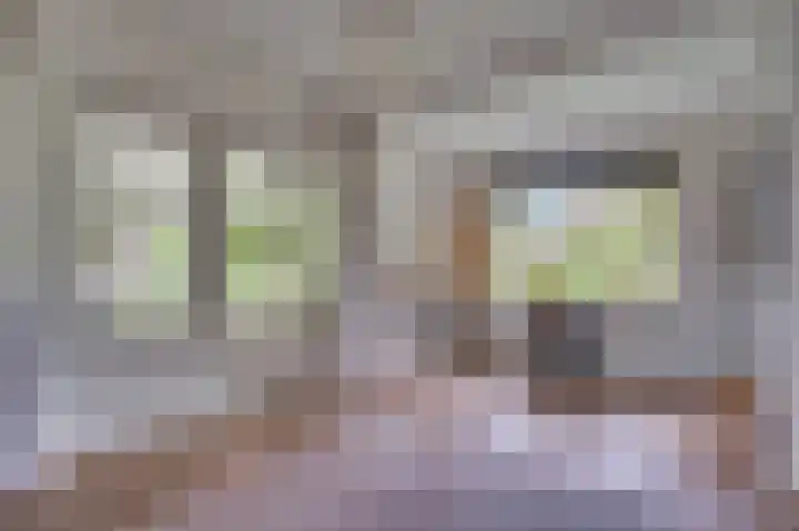 Spoorstraat 5 Grubbenvorst thumbnail 8
