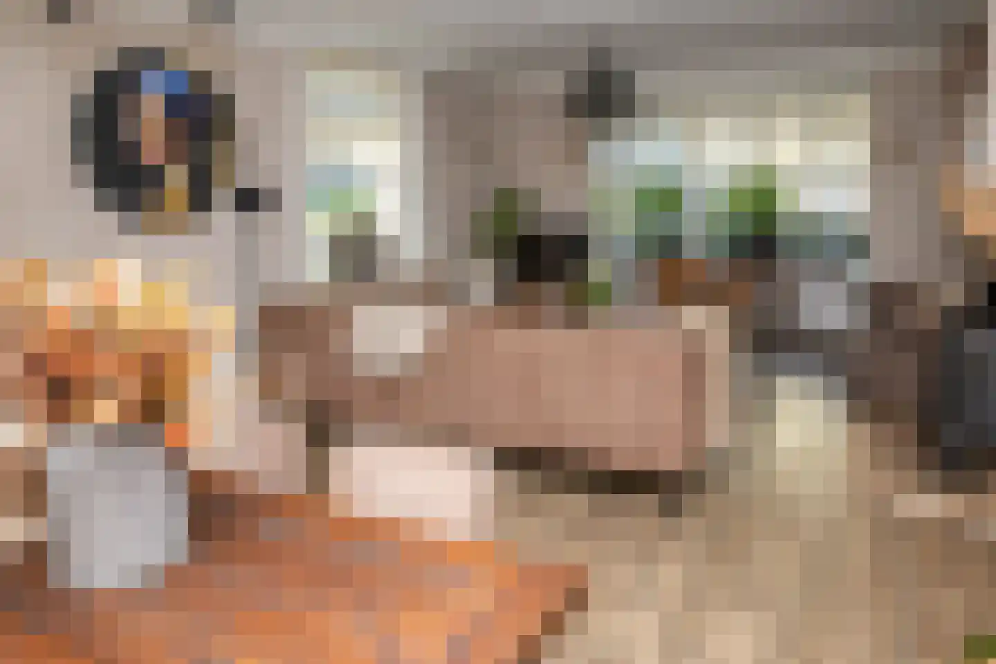 Spoorstraat 51 Kesteren thumbnail 23