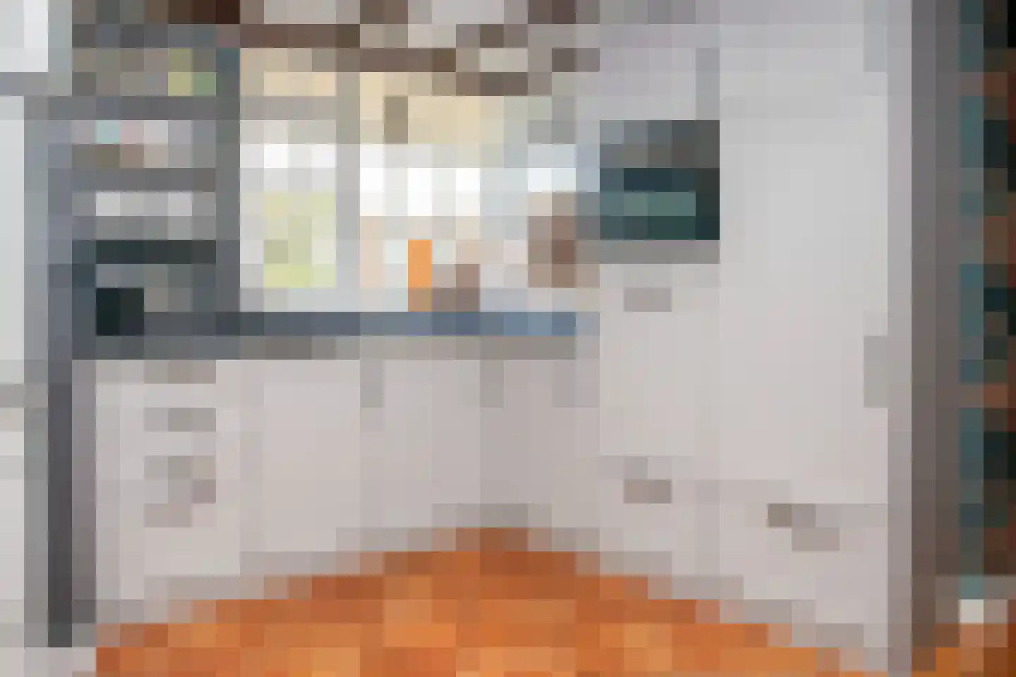 Spoorstraat 51 Kesteren thumbnail 33