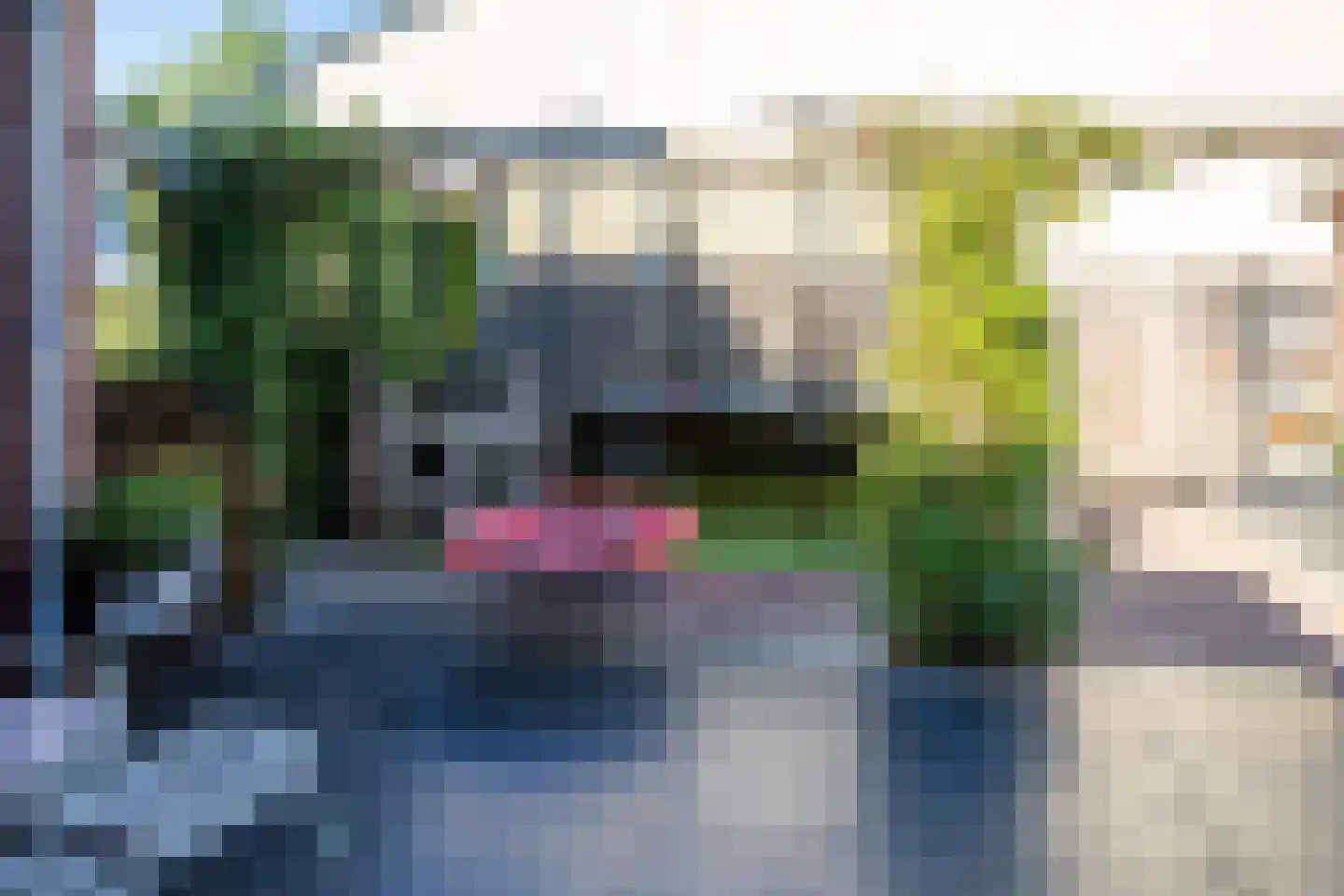 Spoorstraat 51 Kesteren thumbnail 58