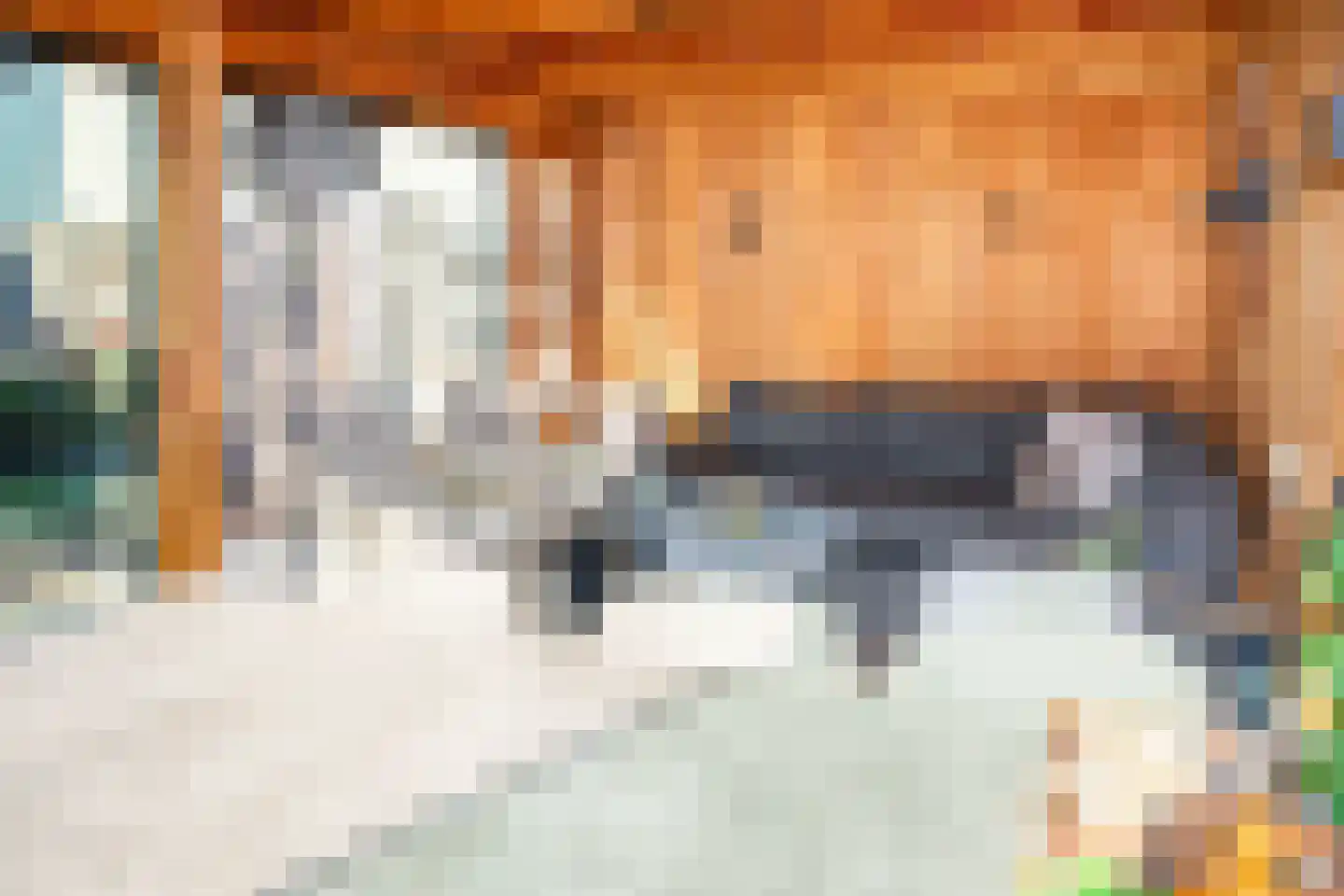 Spoorstraat 51 Kesteren thumbnail 62