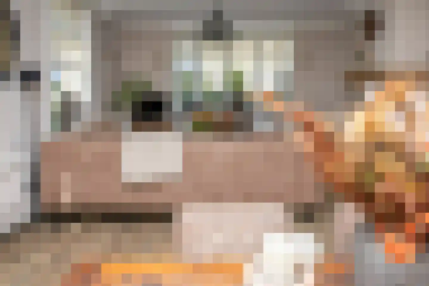 Spoorstraat 51 Kesteren thumbnail 78