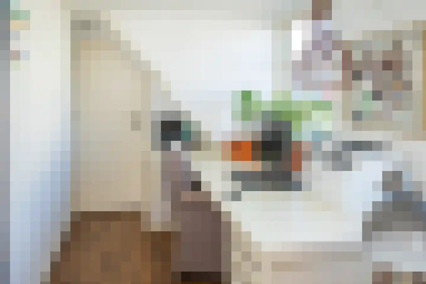 Spoorstraat 51 Kesteren thumbnail 90