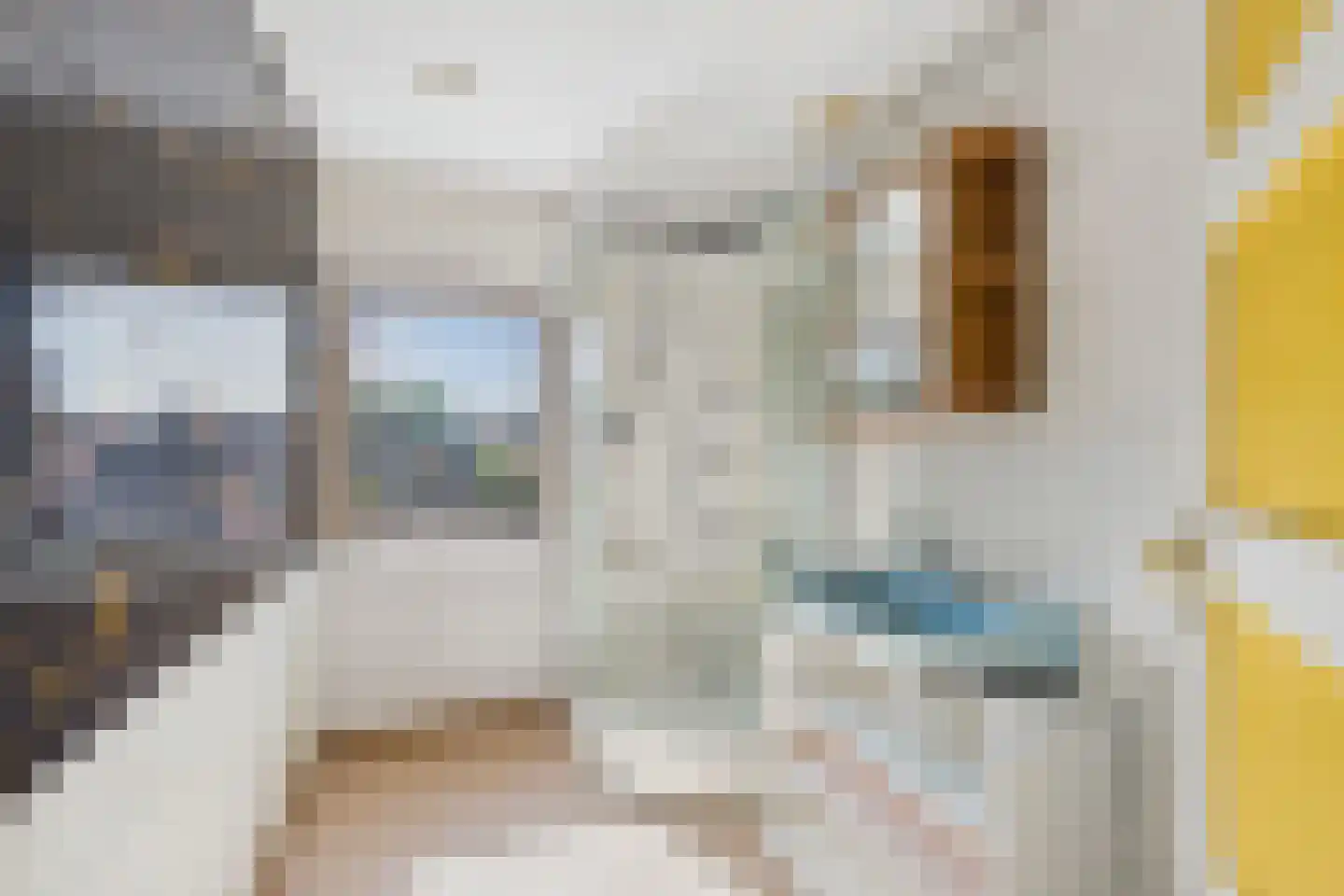 Spoorstraat 51 Sluiskil thumbnail 15