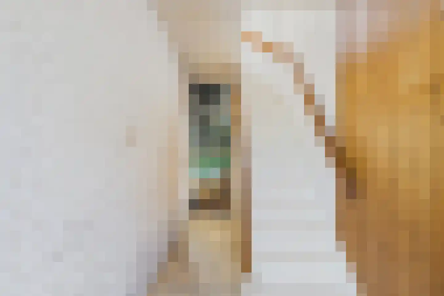 Spoorstraat 51 Sluiskil thumbnail 4