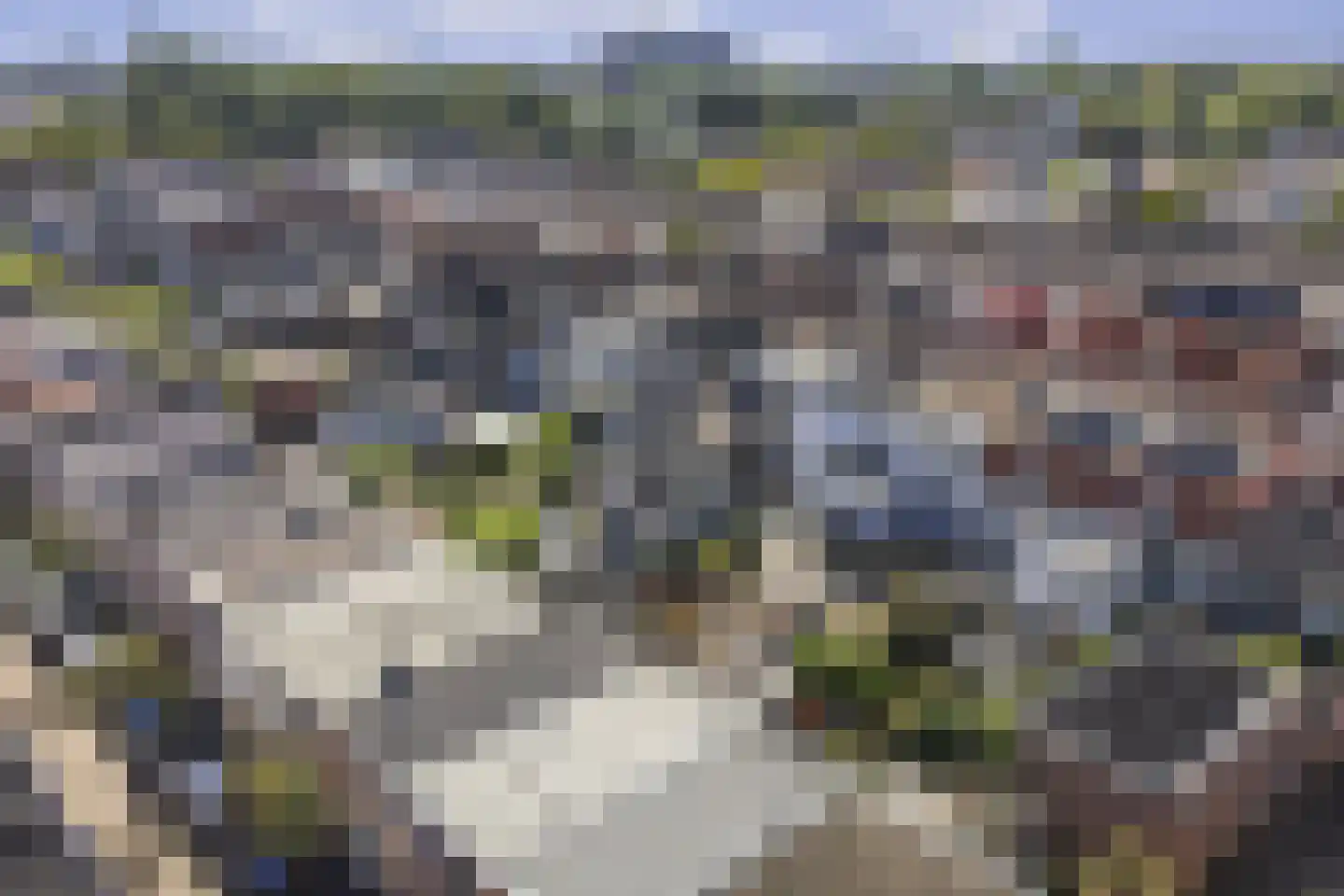 Spoorstraat 52 A Alkmaar thumbnail 31