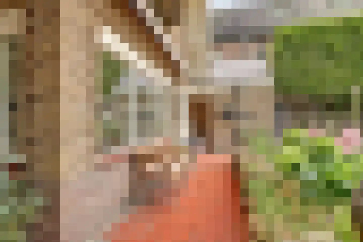 Spoorstraat 52 Bodegraven thumbnail 41