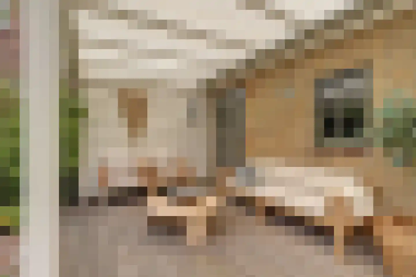 Spoorstraat 52 Bodegraven thumbnail 43