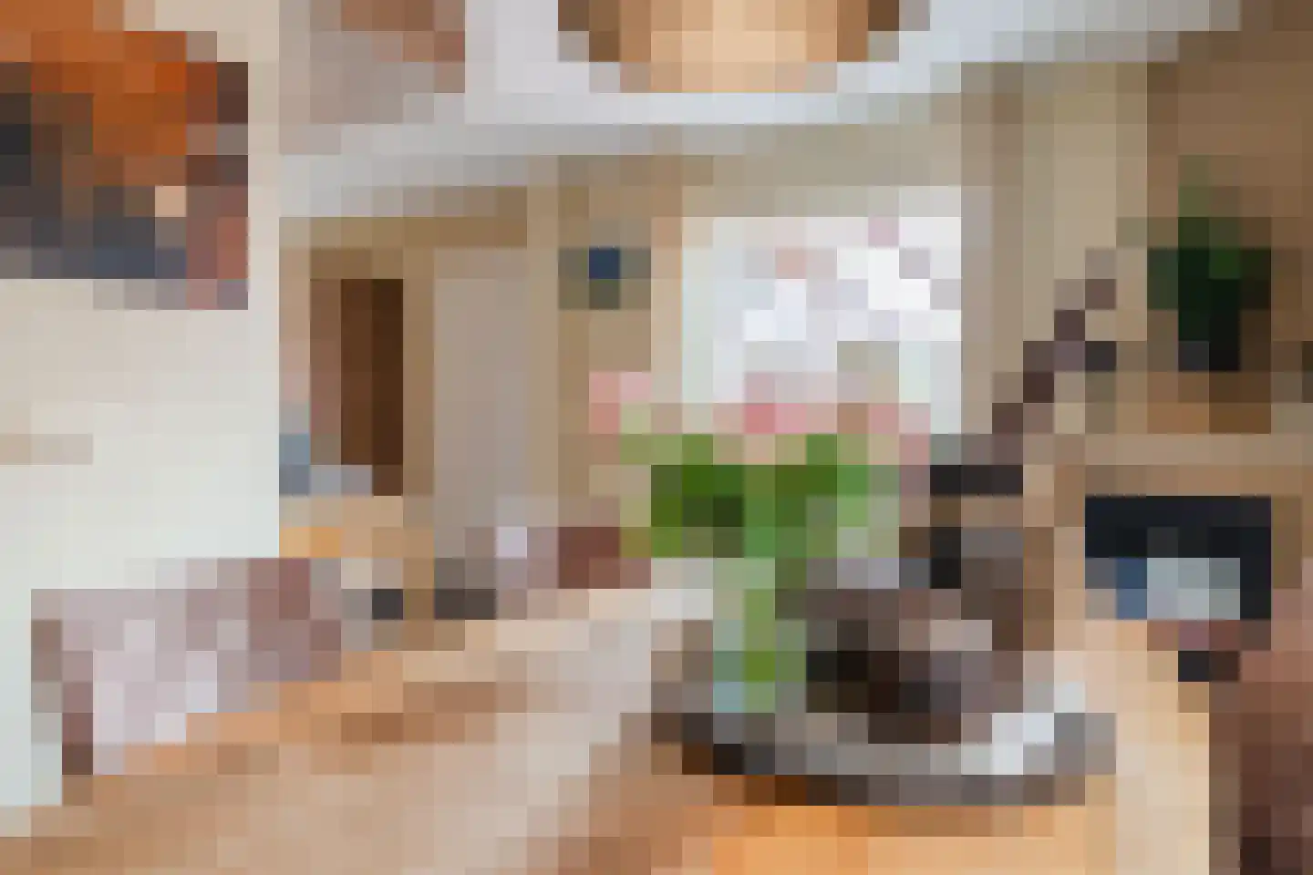 Spoorstraat 52 Stadskanaal thumbnail 8