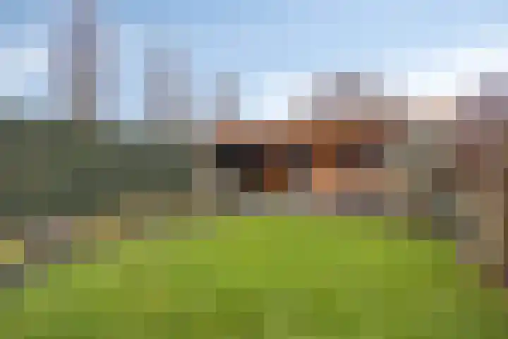 Spoorstraat 53 Boxmeer thumbnail 35