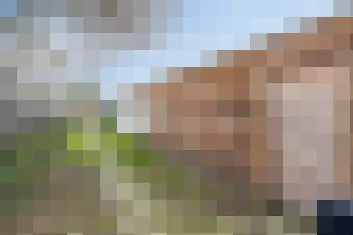 Spoorstraat 53 Boxmeer thumbnail 42