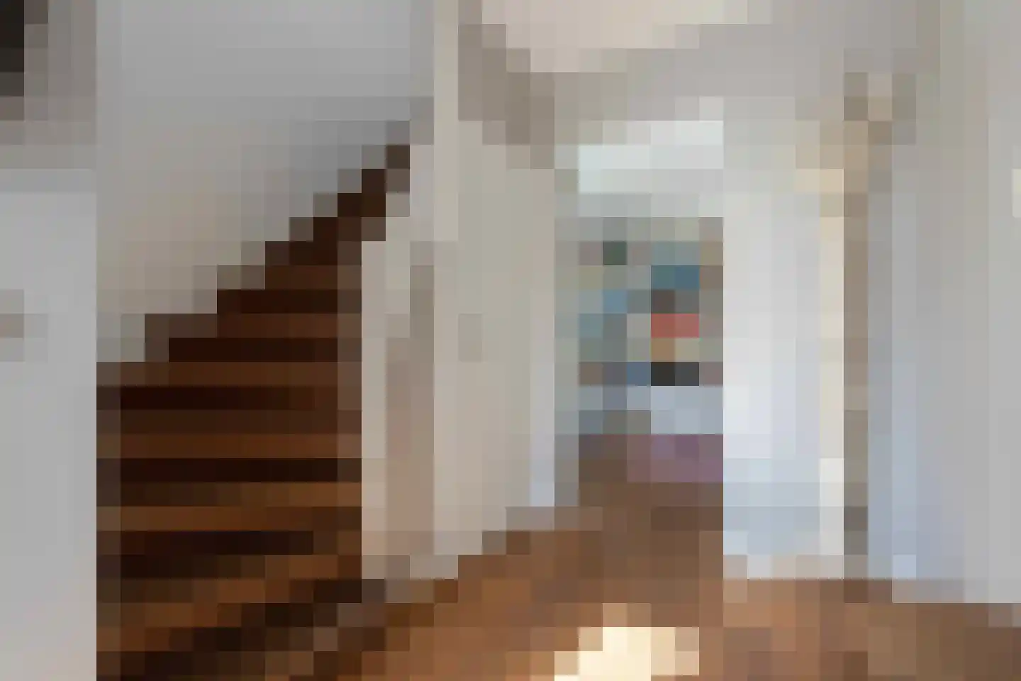 Spoorstraat 53 Bunde thumbnail 24