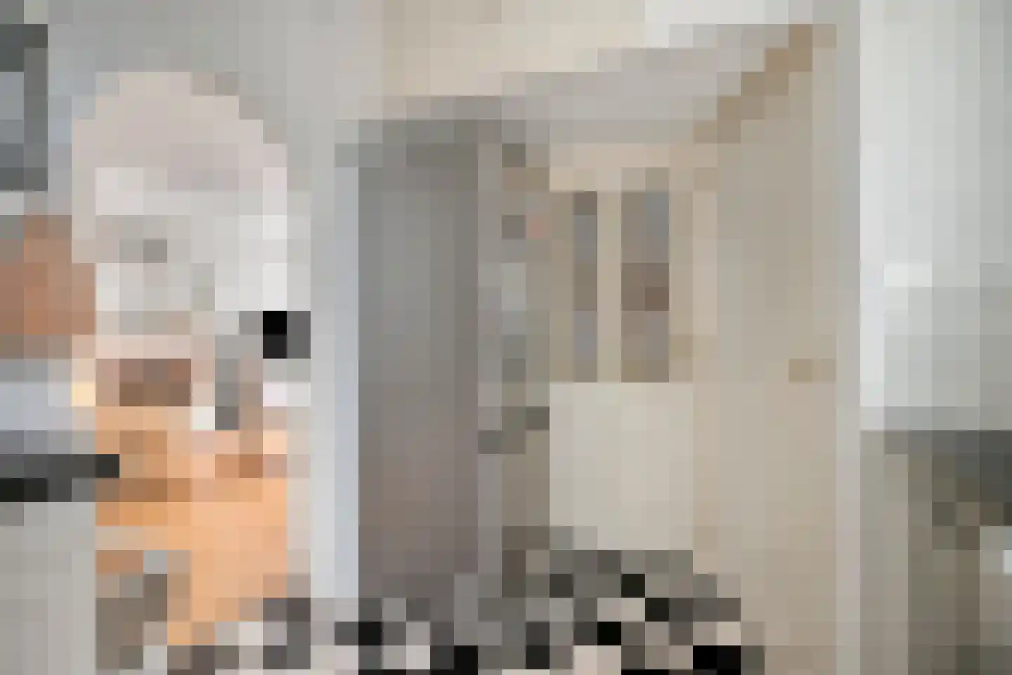 Spoorstraat 54 Sluiskil thumbnail 12
