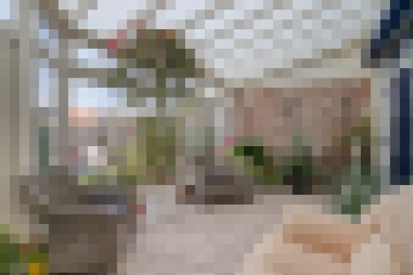 Spoorstraat 54 Sluiskil thumbnail 18
