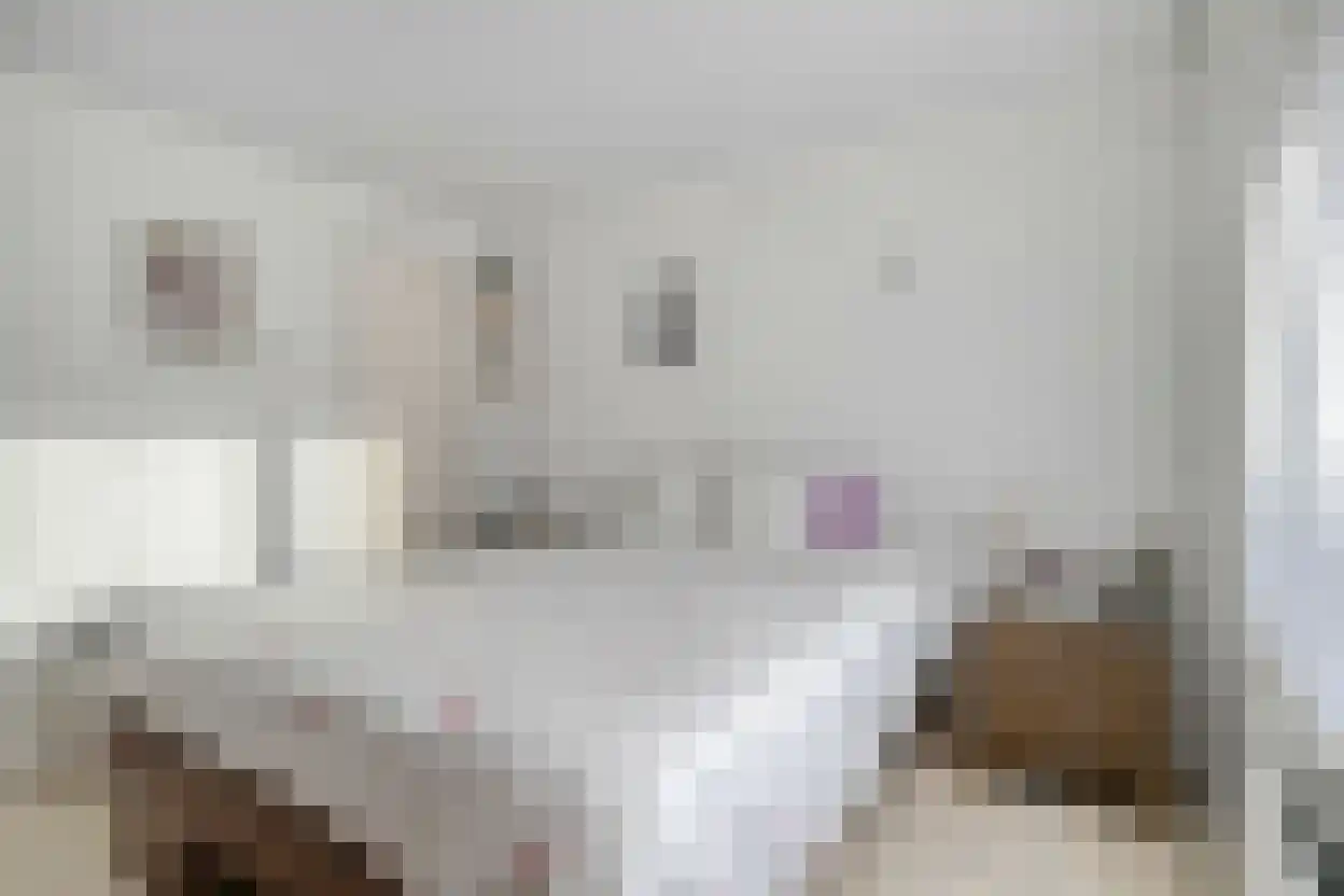 Spoorstraat 54 Sluiskil thumbnail 21