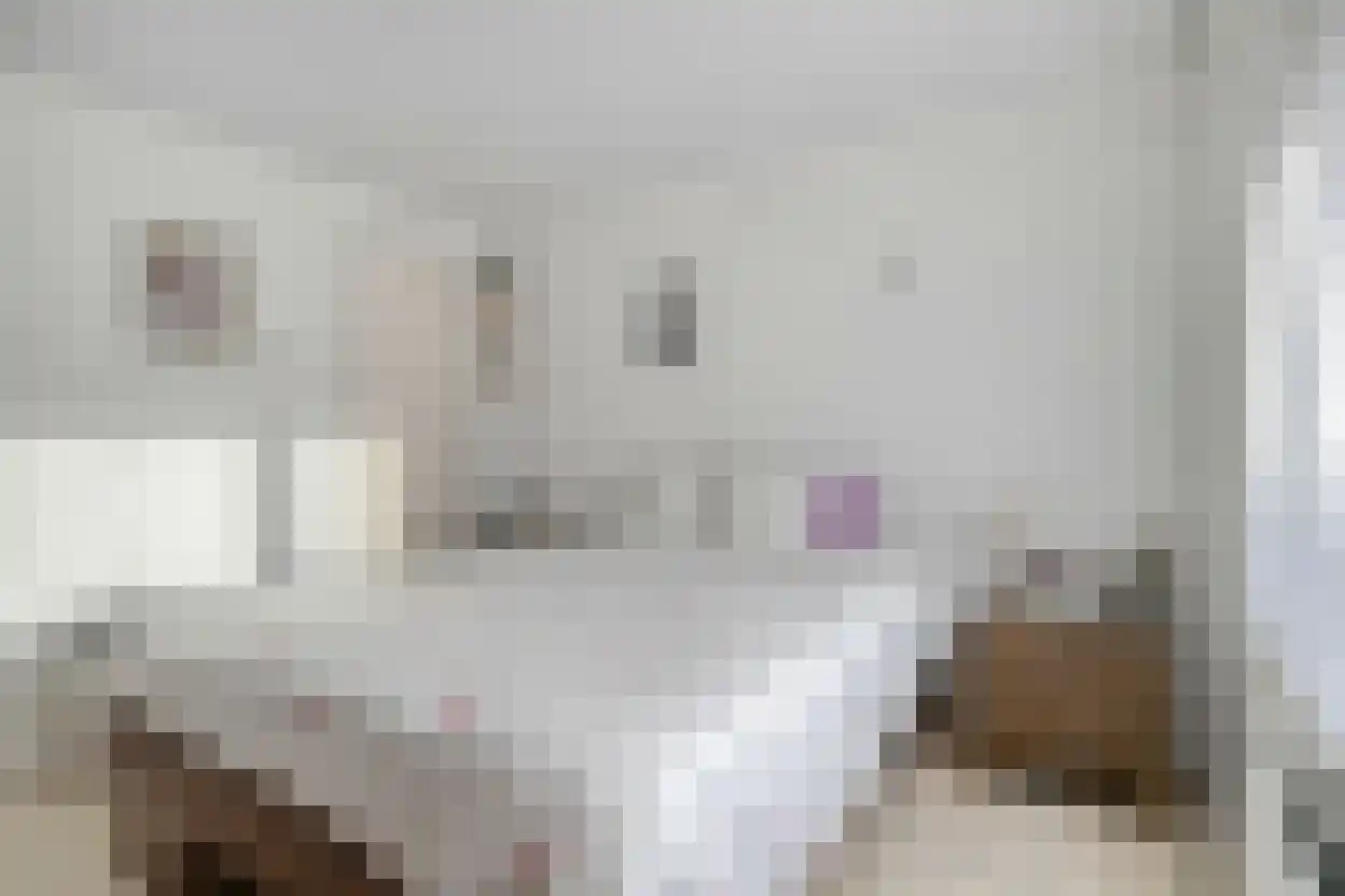 Spoorstraat 54 Sluiskil thumbnail 22